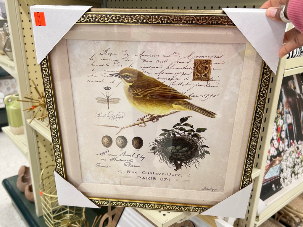 gold framed bird photo