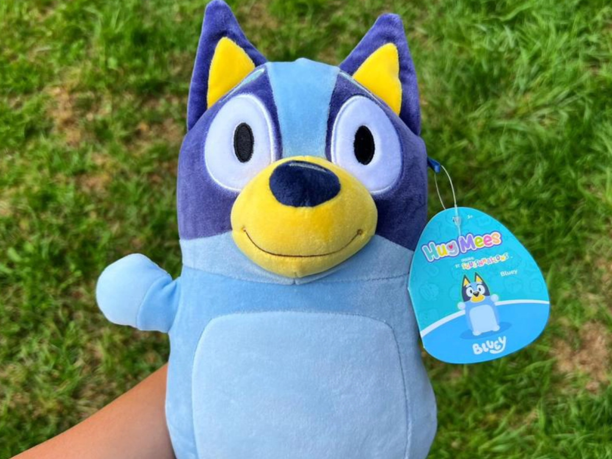 Squishmallow Bluey 10” Hug Mees Plush New With Tags - Boxmodular.com.br