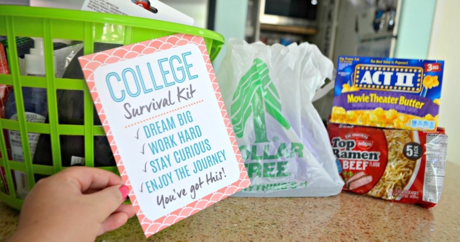 Make a College Survival Kit with Affordable Essentials from Dollar Tree (Easy Gift Idea!)