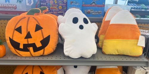 NEW Big Lots Halloween & Fall Decor | 99¢ Treat Bags, $6.99 Throw Pillows & More
