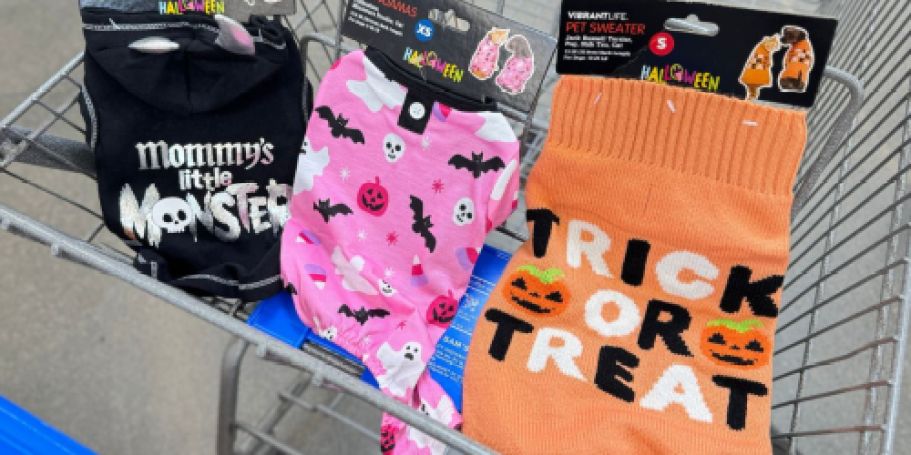 NEW Halloween Pet Items at Walmart | Toys, Clothes & More from $3.98!