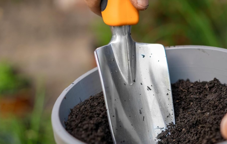 hand digging into flower pot