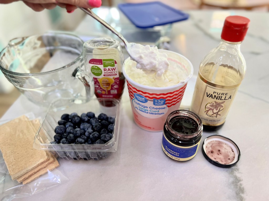 ingredients for blueberry cottage cheese ice cream on the counter 