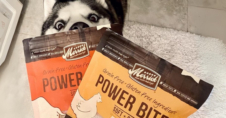 hand holding 2 bags of Merrick Power Bites dog treats with a husky dog looking at them in the background