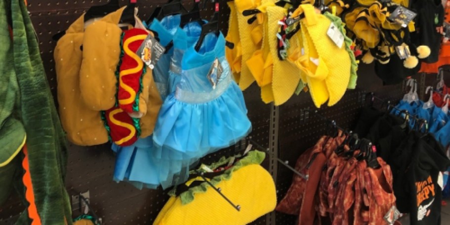 50% Off Petco Halloween Costumes | Fun Styles from $3.50