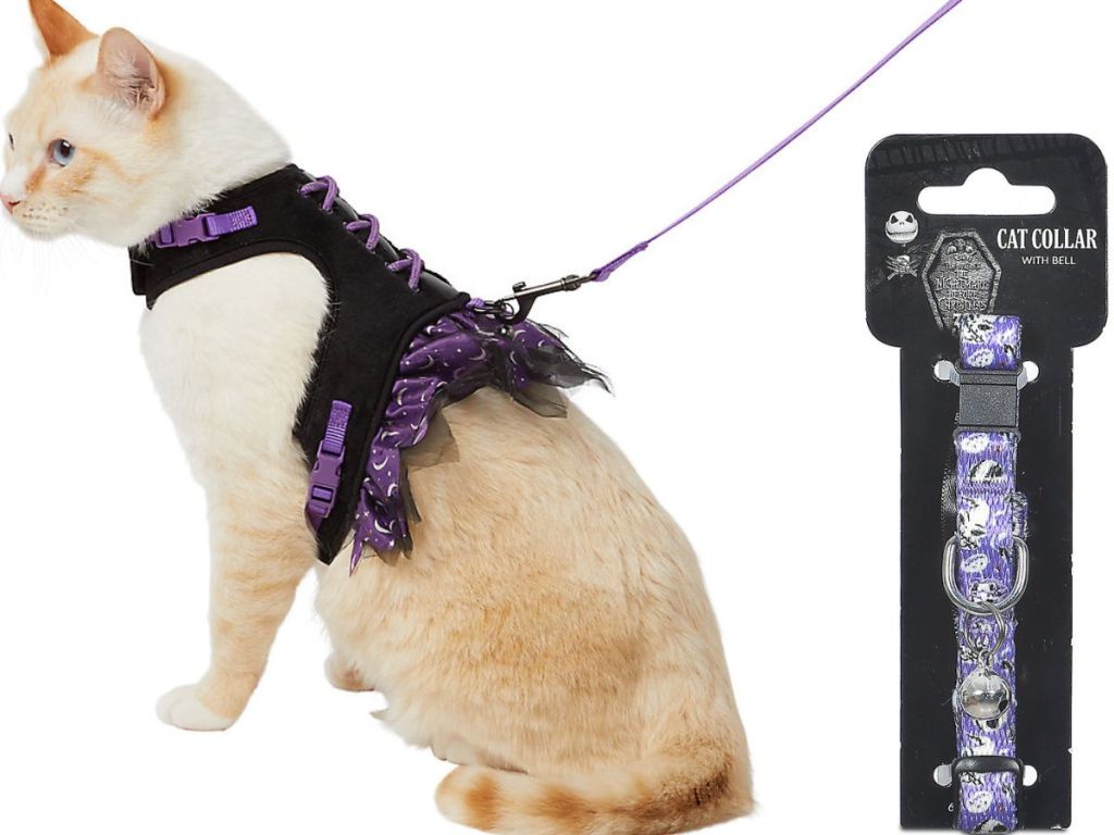 A cat wearing a witch costume harness and a Nightmare Before Christmas collar