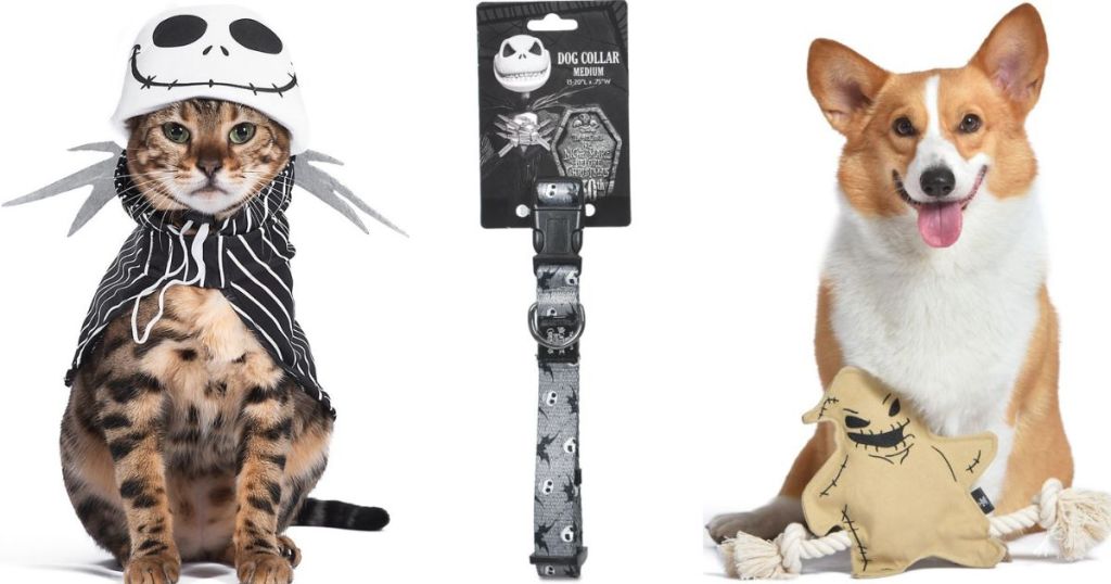 A cat dressed as Jack Skellington, a nightmare before Christmas collar and a dog with an oogie Boogie toy