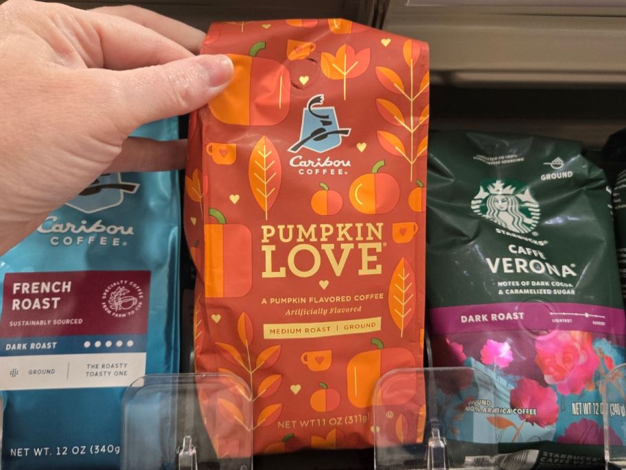 Caribou Coffee Pumpkin Love Medium Roast Ground Coffee package in hand in store