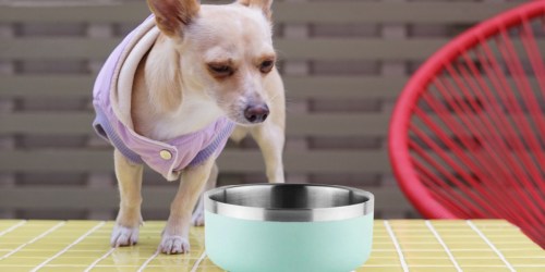 Stainless Steel Dog Bowls 2-Packs Just $4.91 on SamsClub.com (Regularly $15)