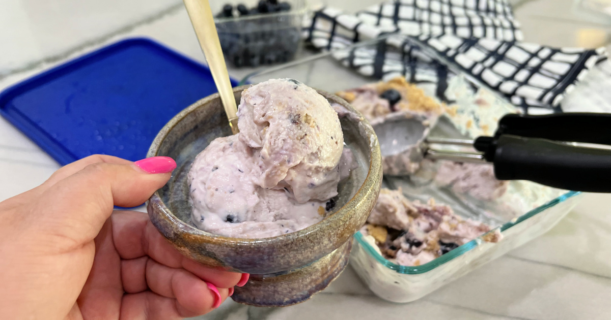 Chocolate Chip Cottage Cheese Ice Cream Has Thin Mints Vibes!