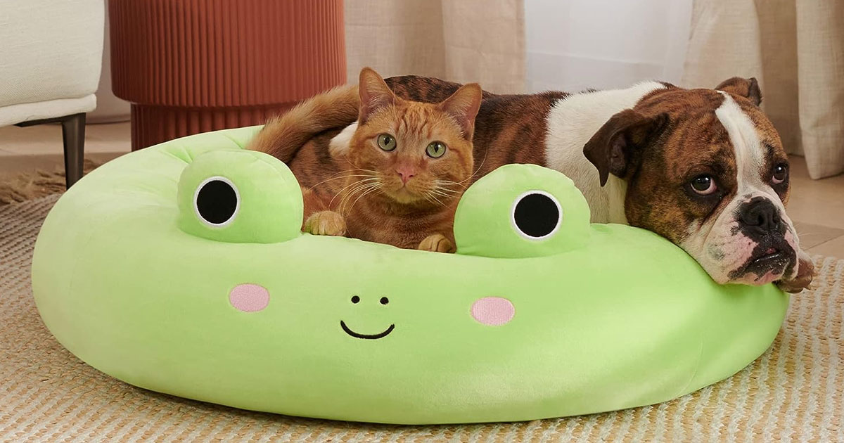 cat and dog laying on frog squishmallow dog bed