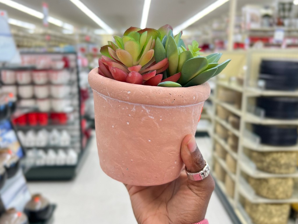 hand holding fake succulent in pink pot