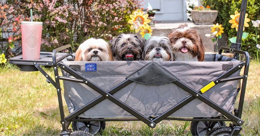 MacSports Collapsible Outdoor Utility Wagon with Folding Table and Drink Holders, Gray with puppies in it