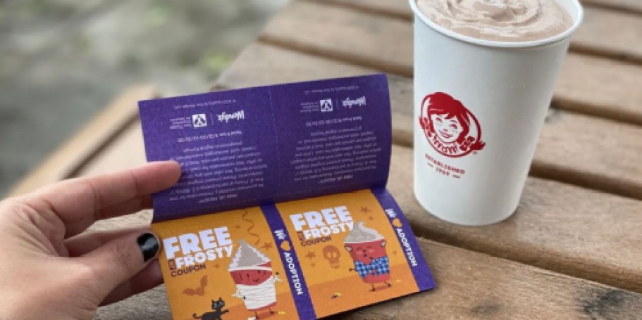 They’re Back! $1 Wendy’s Boo Books w/ 5 Free Frosty Jr. Coupons + $1.99 Kids Meal Offer