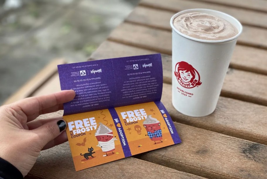 They’re Back! $1 Wendy’s Boo Books w/ 5 Free Frosty Jr. Coupons + $1.99 Kids Meal Offer