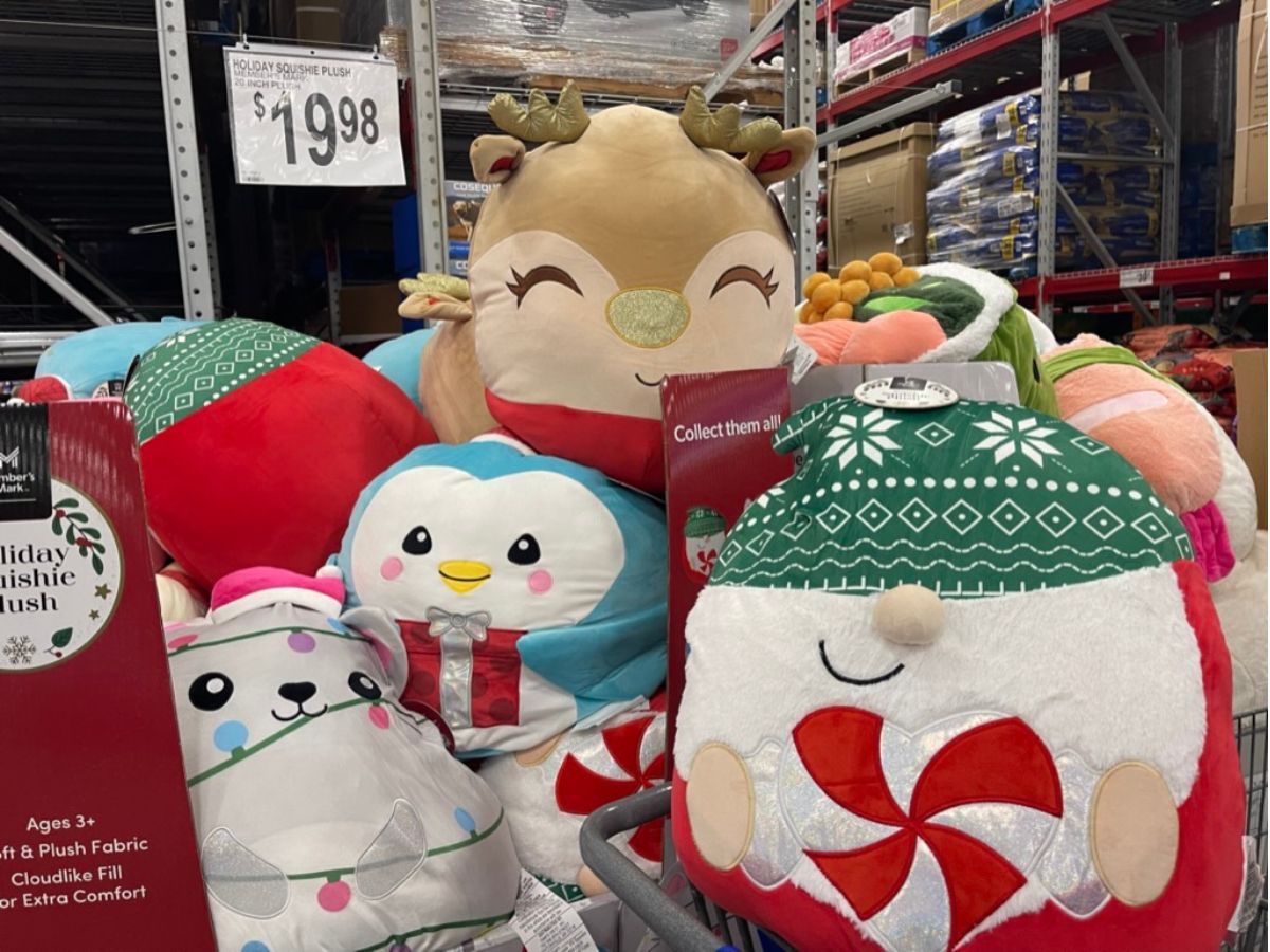 Spotted all of these cuties at a Walmart near me 😍 : r/squishmallow