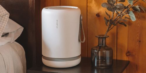Up to $300 Off Molekule Air Purifiers + Free Shipping | Eliminates Bacteria, Mold, Allergens & More
