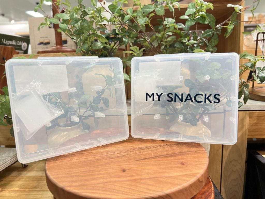 Divided Snack Containers at Target