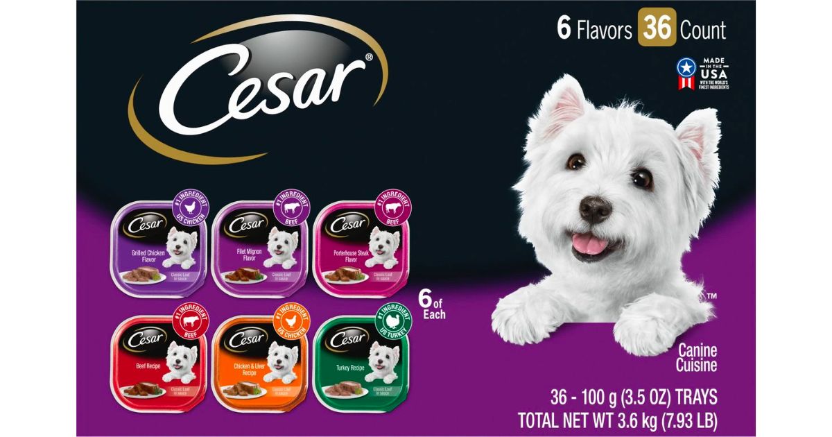 Cesar Classic Loaf in Sauce Variety Pack Small Breed Adult Wet Dog Food36 Count