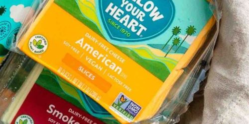 Follow Your Heart Cheese 99¢ at Publix After Cash Back | Vegan, Soy-Free, & Non-GMO