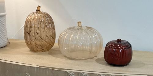 Target Fall Pumpkin Home Decor | Woven, Glass, Knit & More from $5