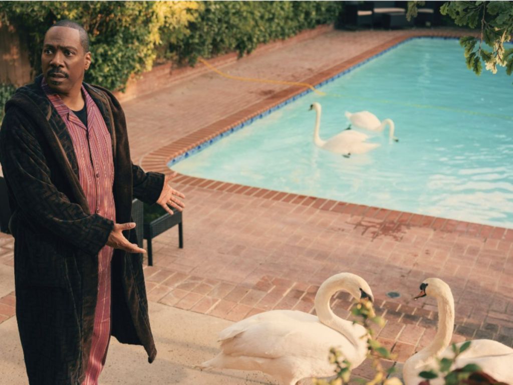 Eddie Murphy with swans in scene from Amazon Prime Movie Candy Cane Lane