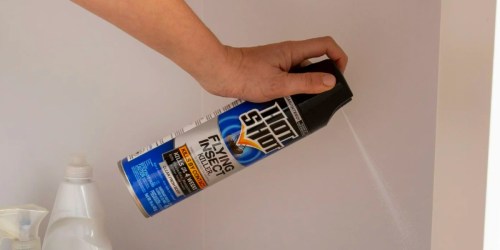 Hot Shot Flying Insect Spray 15oz Only $2.97 on Amazon or Walmart.com