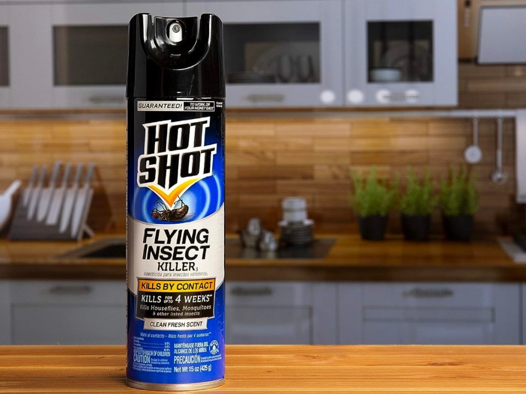 Hot Shot Flying Insect Killer 15oz Can