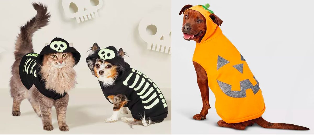 Hyde EEK Boutique Skeleton Glow Hoodie Halloween Dog and Cat Costumes