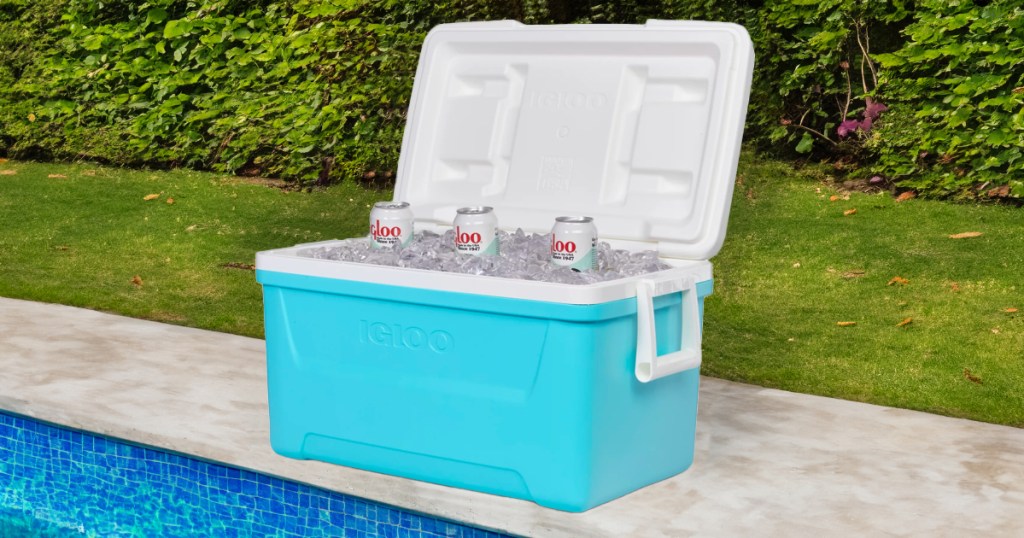 Igloo 48-Quart Laguna Hard-Sided Cooler 