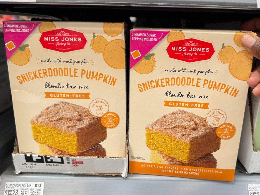 Miss Jones Baking Co Snickerdoodle Pumpkin Blondie Bar Mix