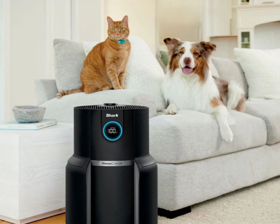 a cat and a dog on a sofa with shark air purifier in fore ground