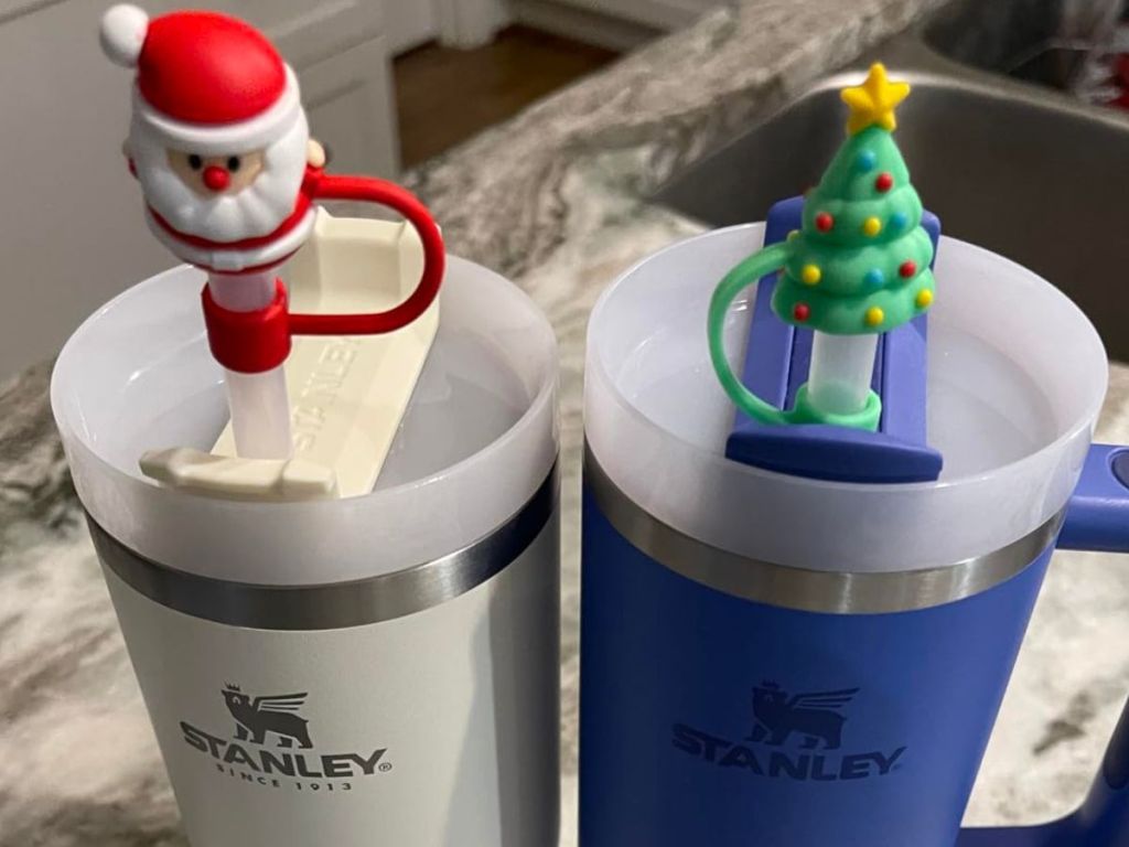 These Super Cute Stanley Tumbler Accessories are Just $2 on  –  SheKnows