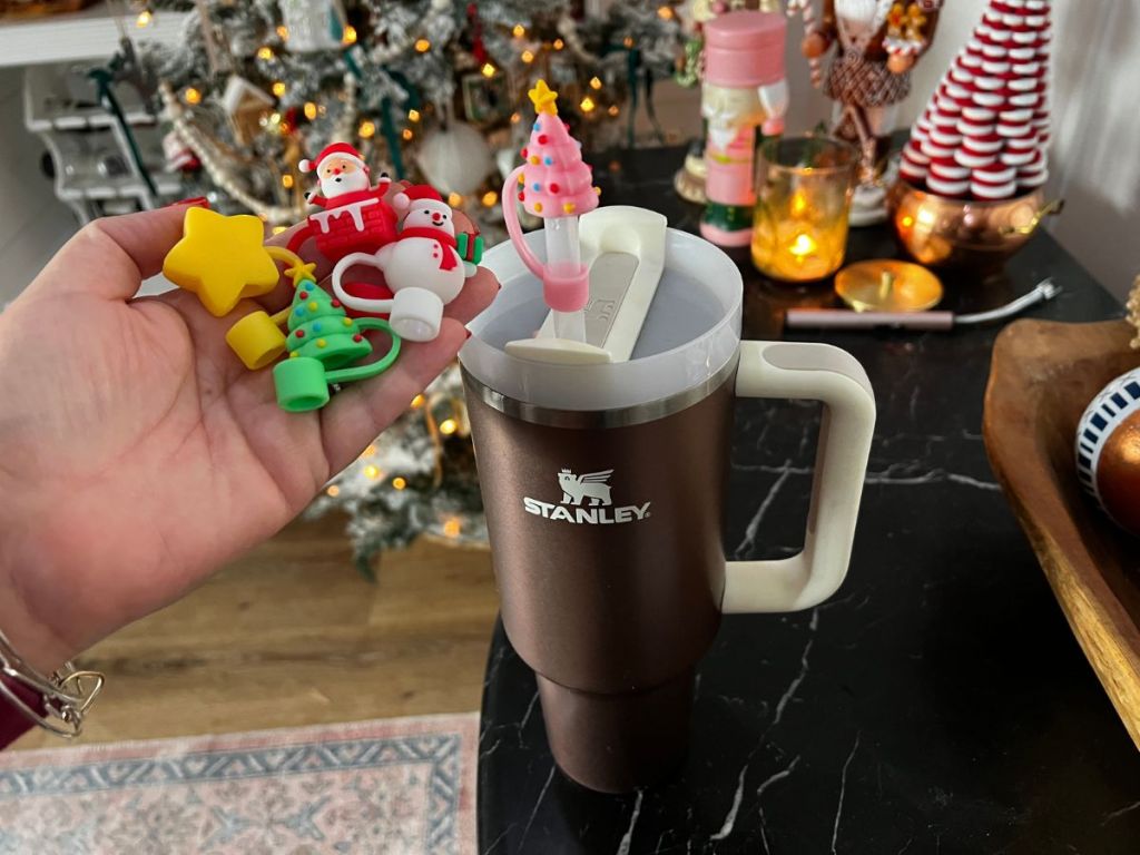 Elevate Your Stanley Tumbler with These $5.99 Accessories (Perfect Stocking  Stuffers)