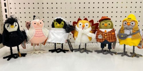 GO! Holiday Harvest & Halloween Birds Only $5 on Target.com