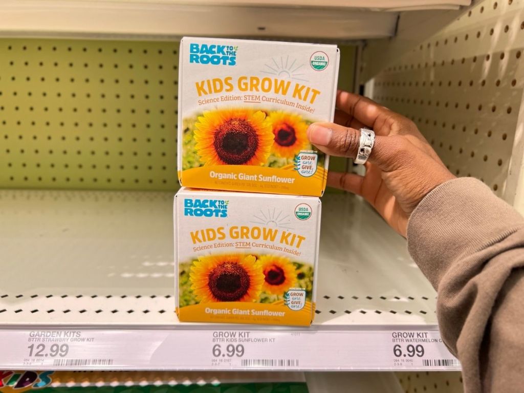 Kids Sunflower Grow Kits