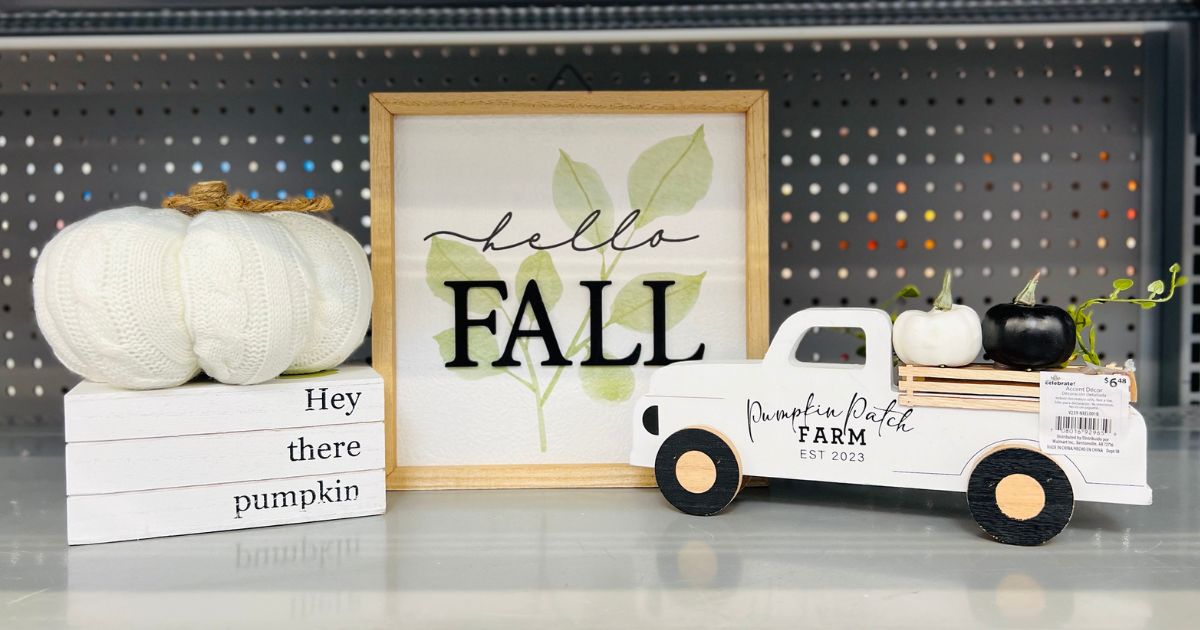 NEW Fall Farmhouse Style Decor from $2.48 at Walmart