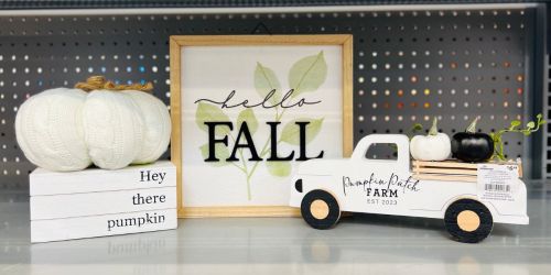 7 NEW Walmart Fall Farmhouse Style Decor Pieces – from $2.48!