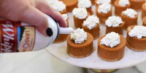 Turn Store-Bought Pie into Mini Pumpkin Pies for Serving!