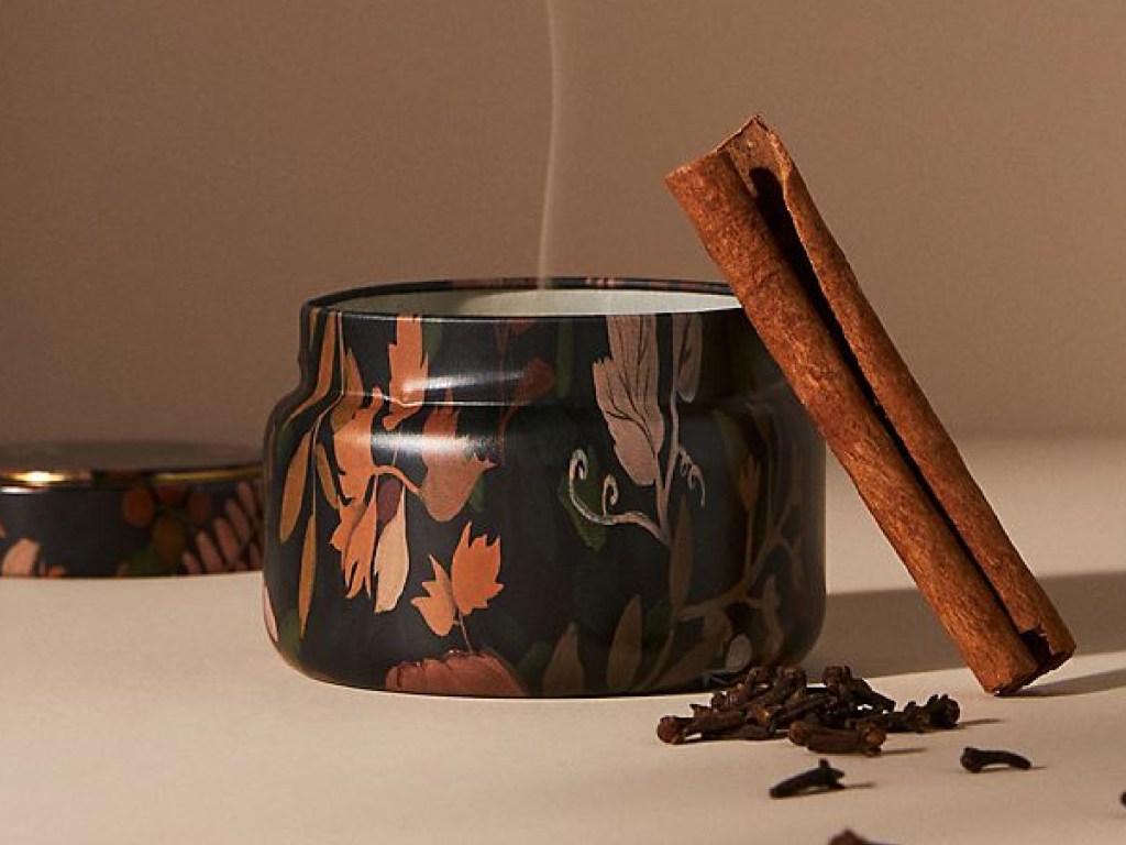 anthropology-capri-blue-spice-candle-displayed-with-a-cinnamon-stick-and-cloves أنثروبولوجي كابري الشموع الزرقاء 12.80 دولارًا (16 دولارًا عاديًا) |  يشمل روائح الخريف