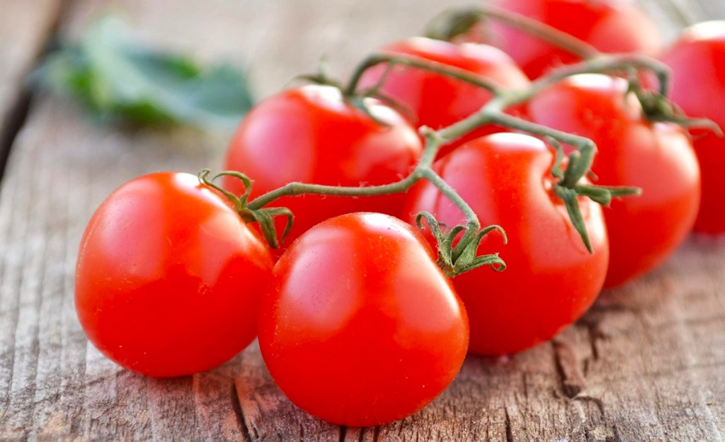 campari tomatoes