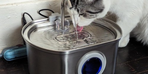 Large Stainless Steel Cat Water Fountain ONLY $25.48 on Amazon