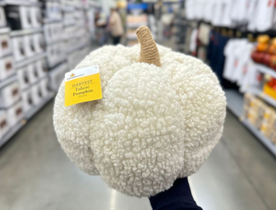 a woman's hand holding a white sherpa pumpkin