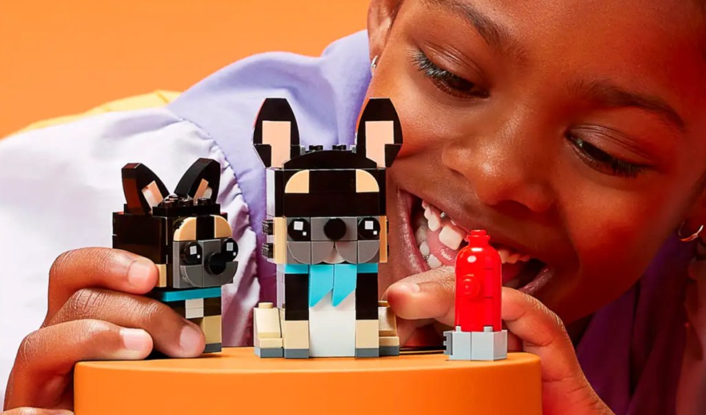 child playing with a LEGo pets set