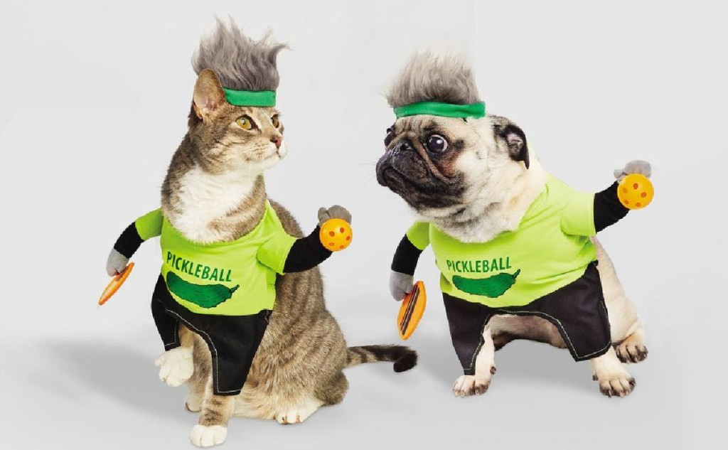 dog and cat wearing pickle costume outfit