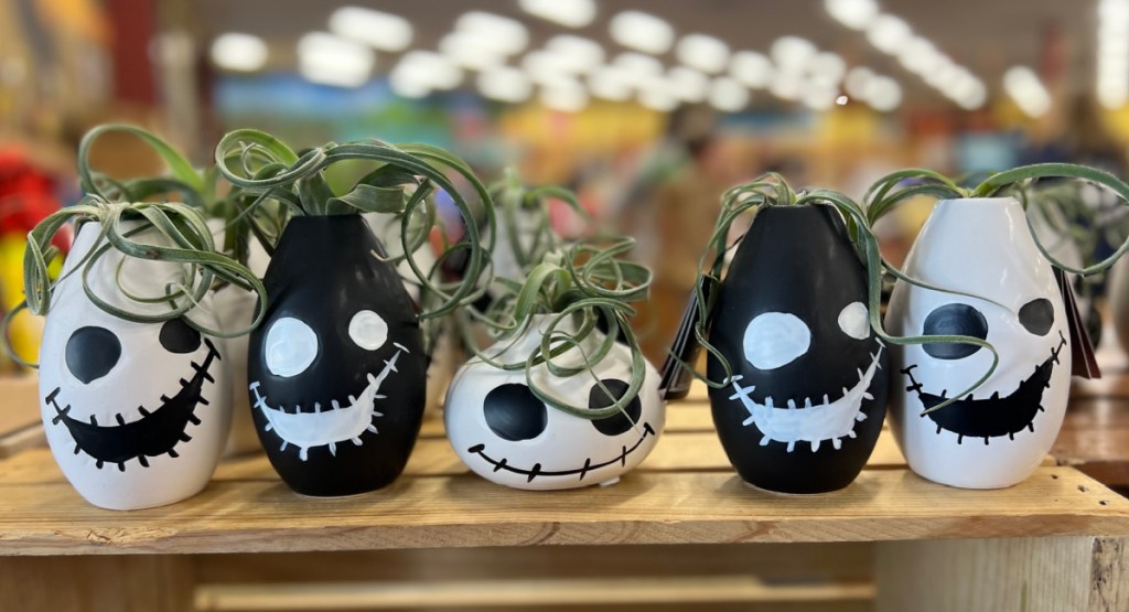 ghoul planters in store