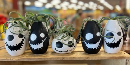NEW Trader Joe’s Halloween Plants | $5.99 Ghoul Planters & More Festive Finds!