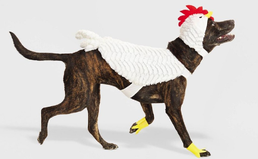 large dog wearing chicken costume from target