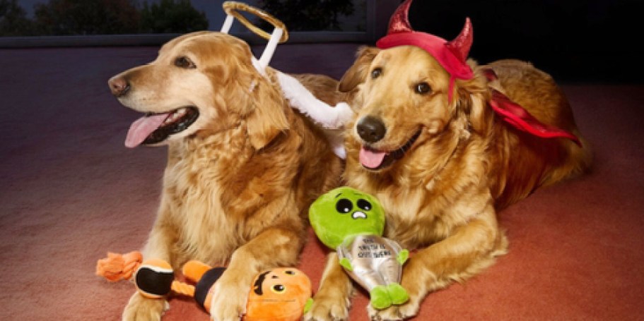Up to 75% Off Halloween at PetSmart | Toys, Harnesses, Dog Beds, & More!