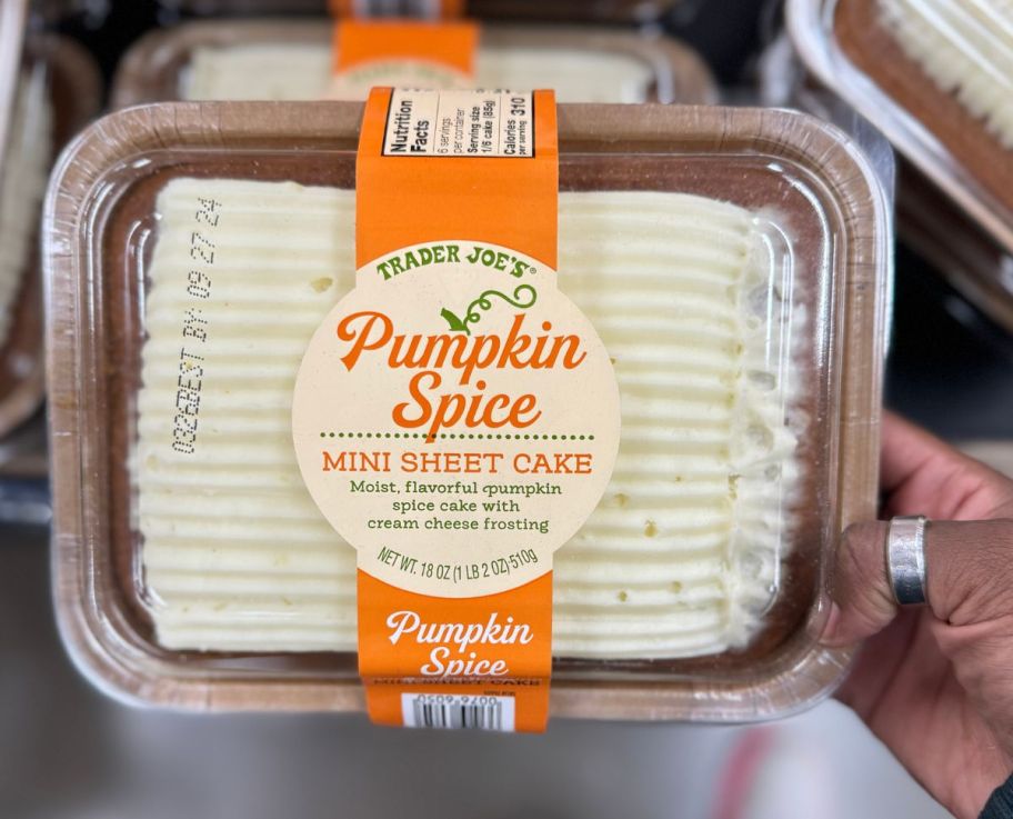 a woman's hand holding a mini pumpkin sheet cake